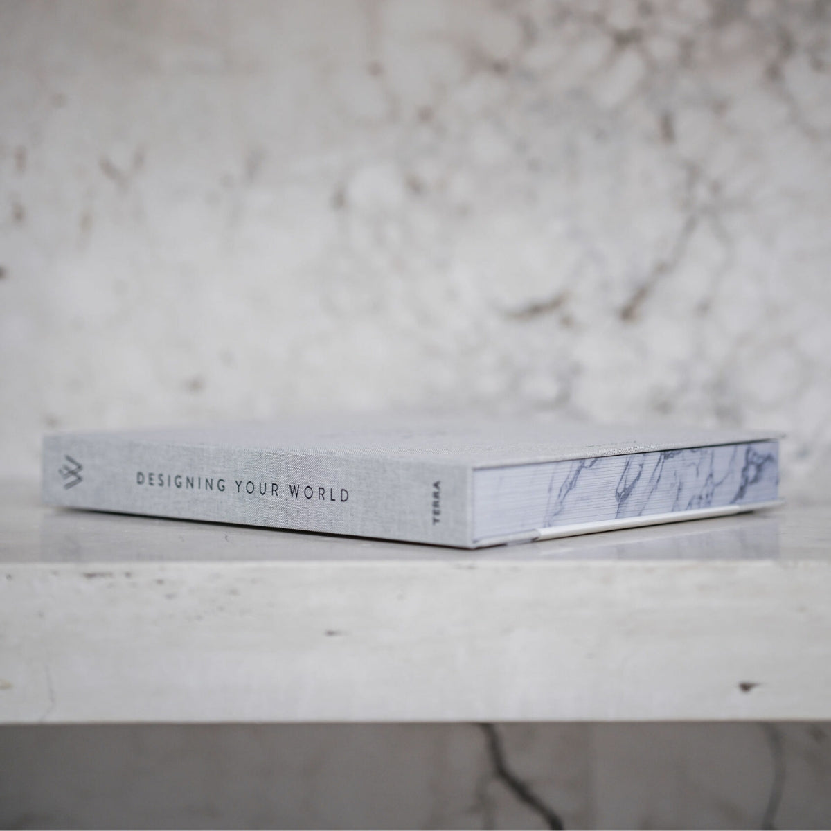 Decoratieboek ''Designing Your World''